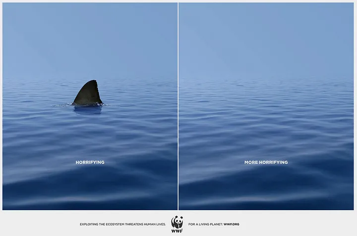 WWF