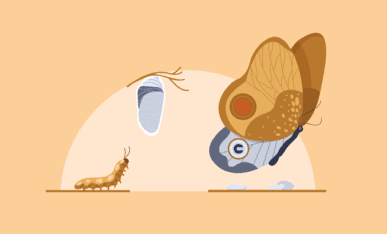 Redesign Process