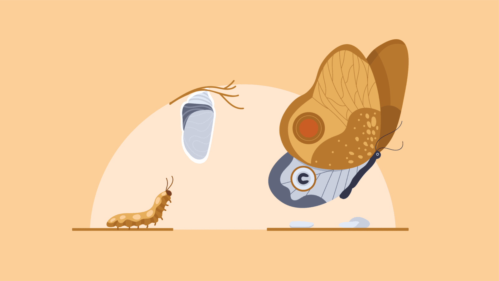 Redesign Process