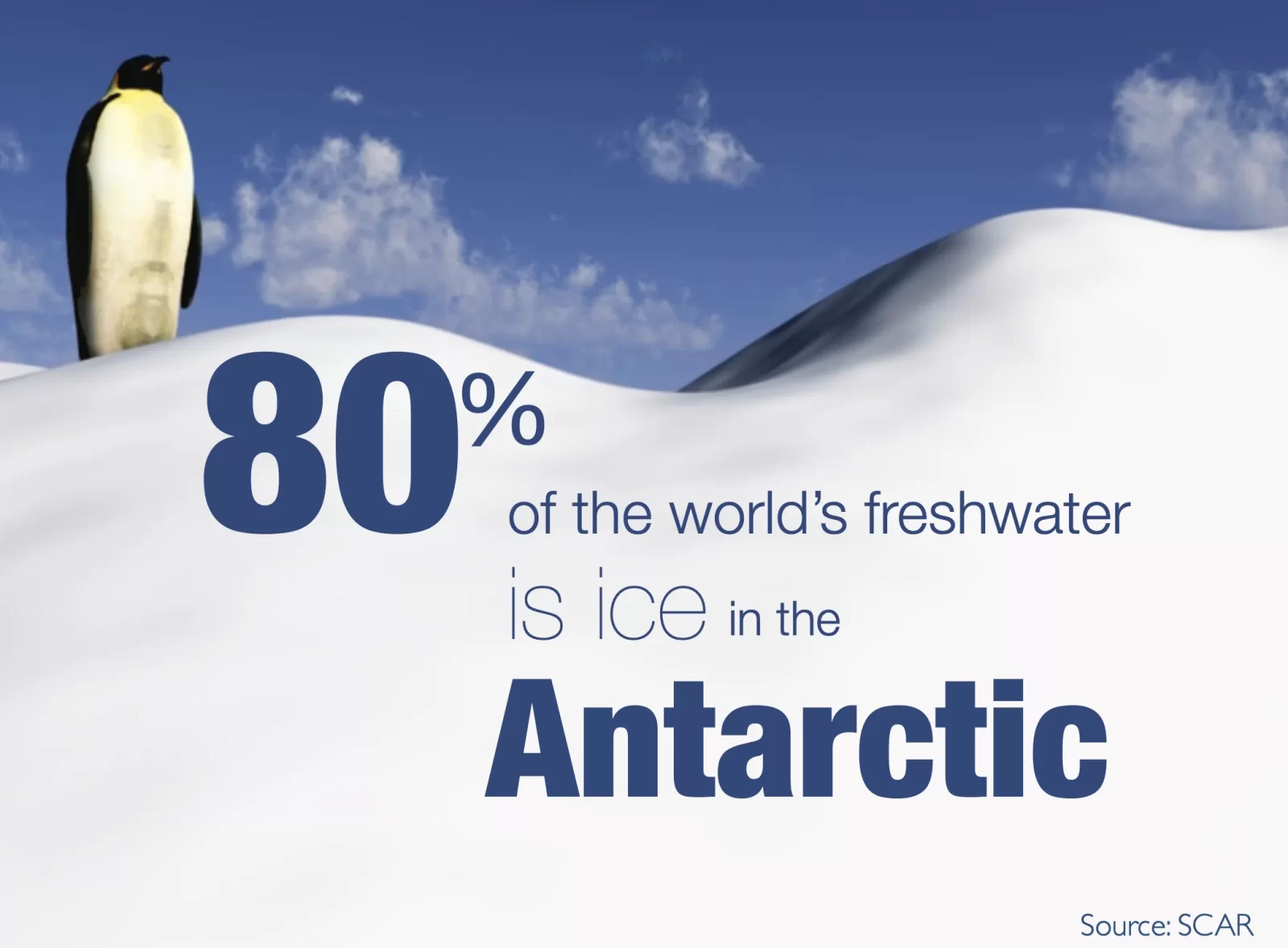 example slide for presentation penguin