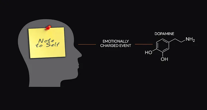 example slide for presentation head